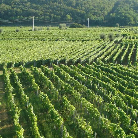 Luxury Verbenico Hills- Amazing Sea View, Pool With Whirpool And Waterfall, Beach, In Famous Wine Region - Your With Style *