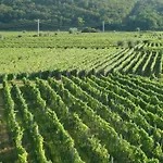 Luxury Verbenico Hills- Amazing Sea View, Pool With Whirpool And Waterfall, Beach, In Famous Wine Region - Your With Style *
